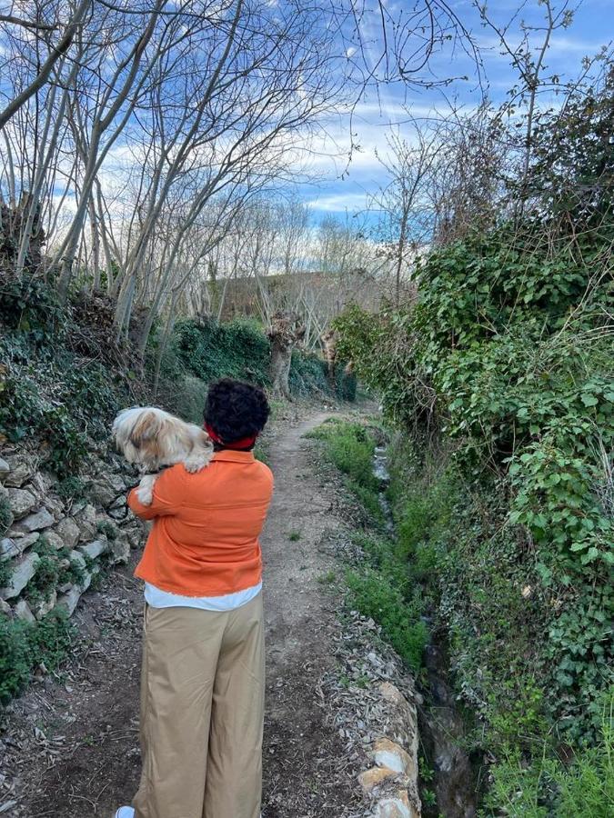 Casa Rural El Encanto Zarra 외부 사진